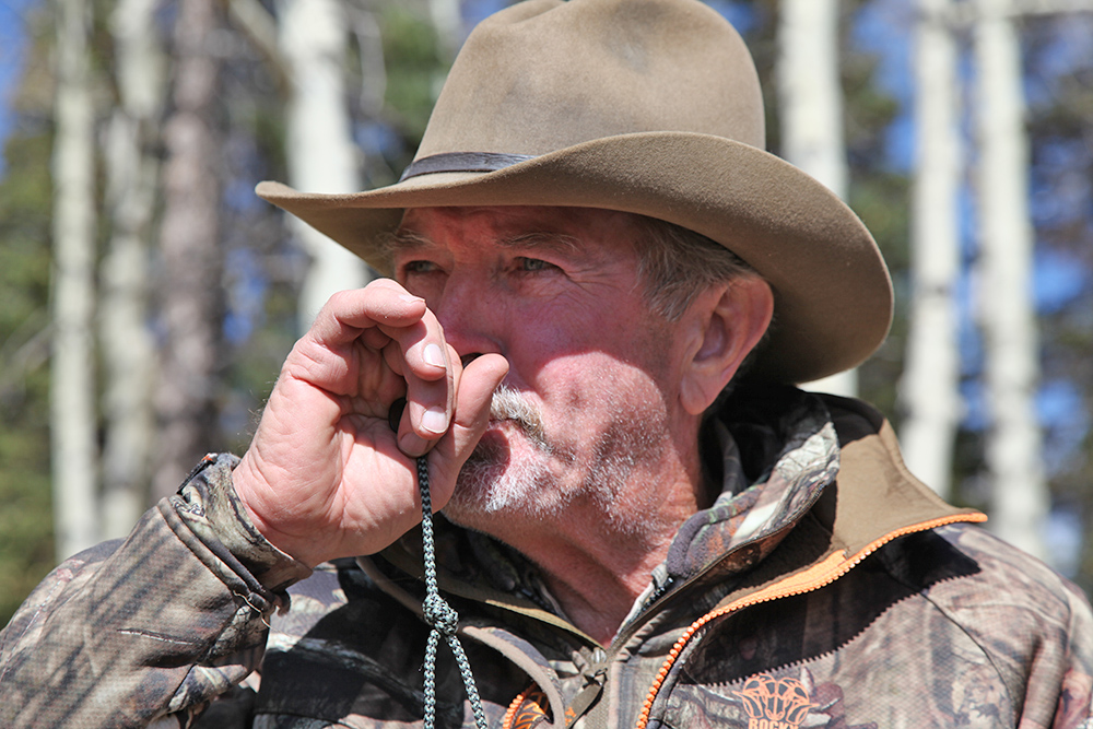 Calling elk by hand