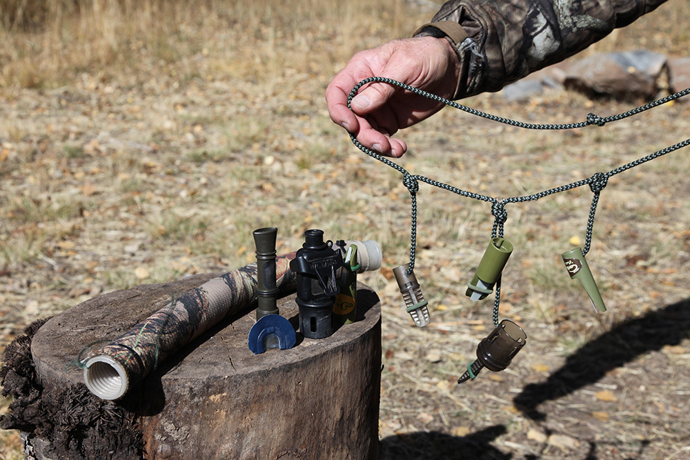 Different types of elk calls